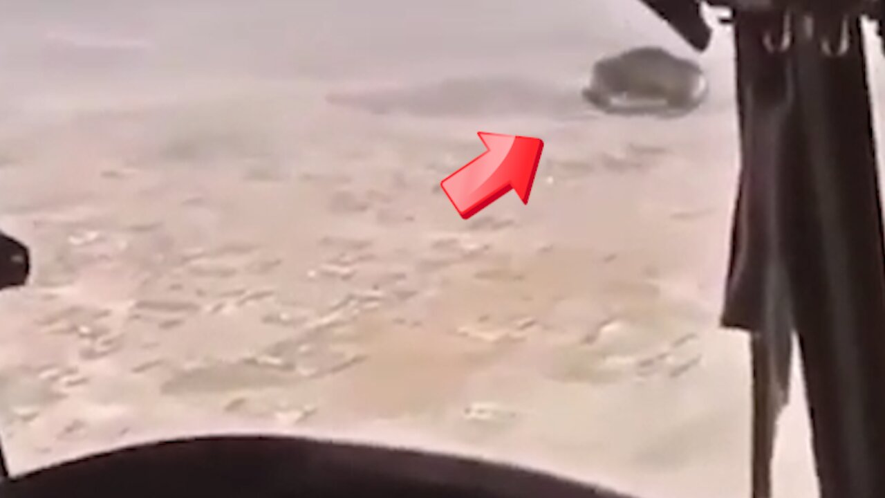 UFO spotted from helicopter! [Space]