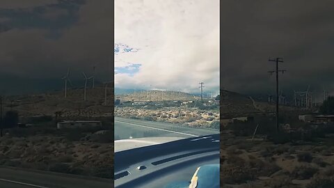 Palm Springs 🌴