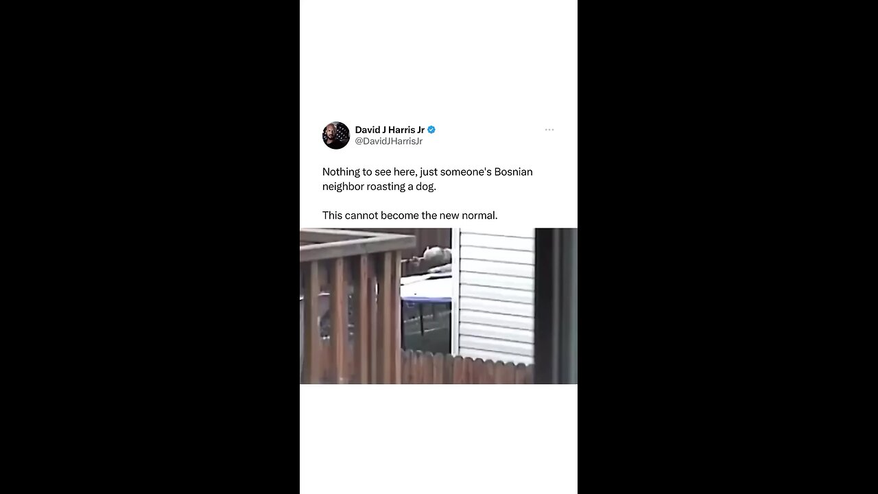 Migrants Cooking A Dog