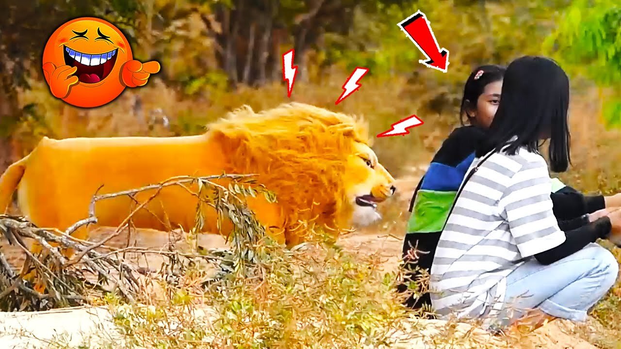 Big Lion vs Prank Human - Must watch most funny video