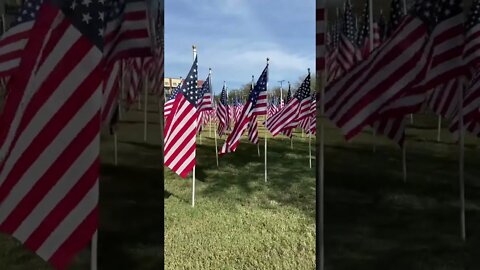 爱国者们振作起来！#中期选举 我们取得了很大的成就，美国精神永存！美国会有很好的未来！#MAGA