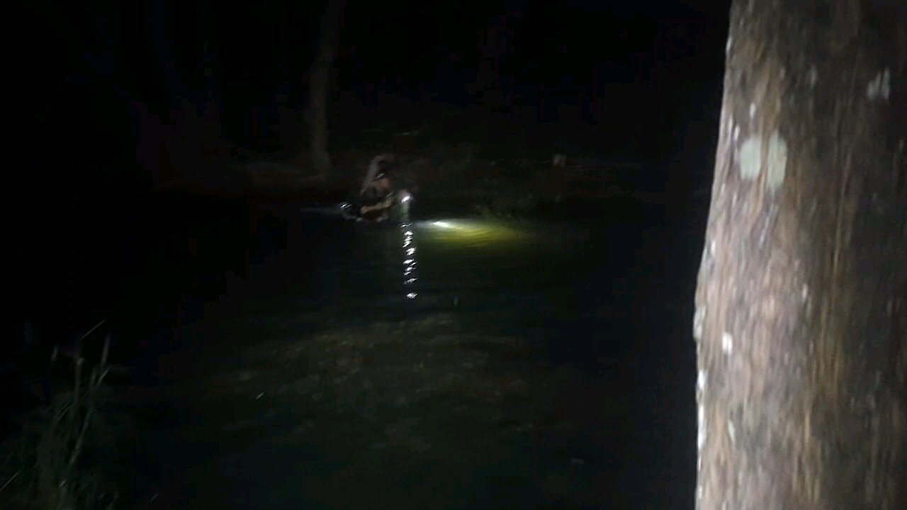 my first hunt with Mr bird