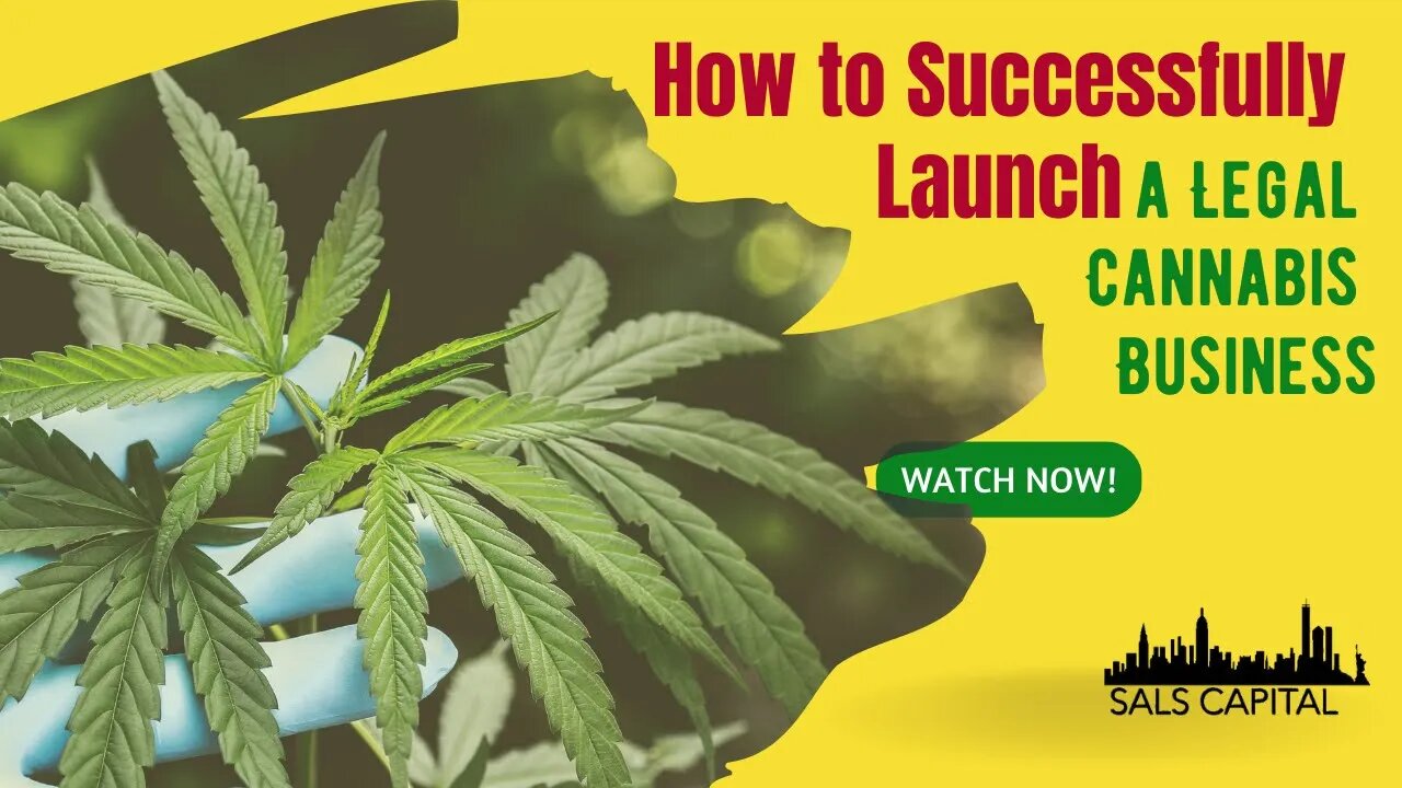 How to Successfully Launch a Legal Cannabis Business