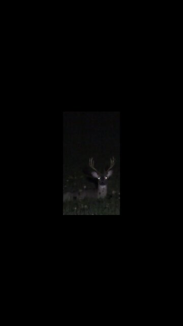Big PA Buck!!