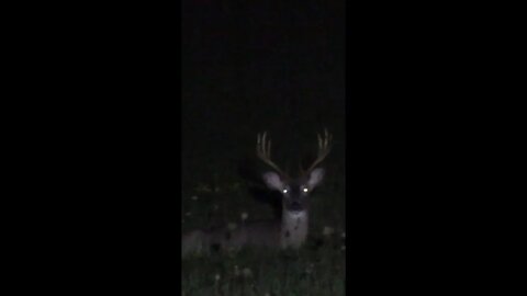 Big PA Buck!!