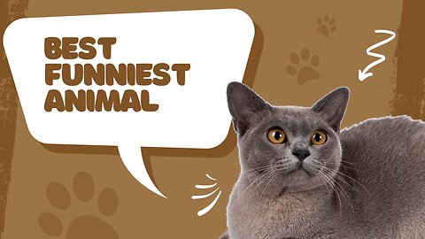 Best Funniest Animal Video 2023
