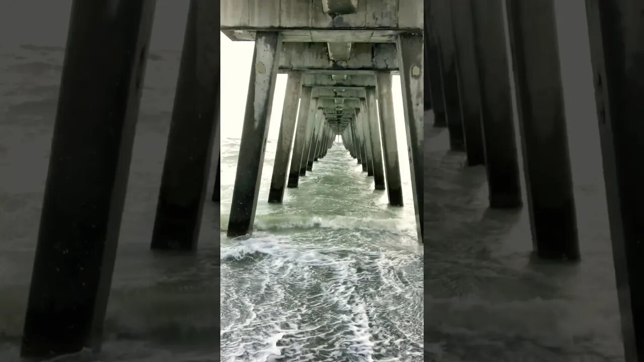 Venice Beach Hurricane Idalia #nature #beach #storm