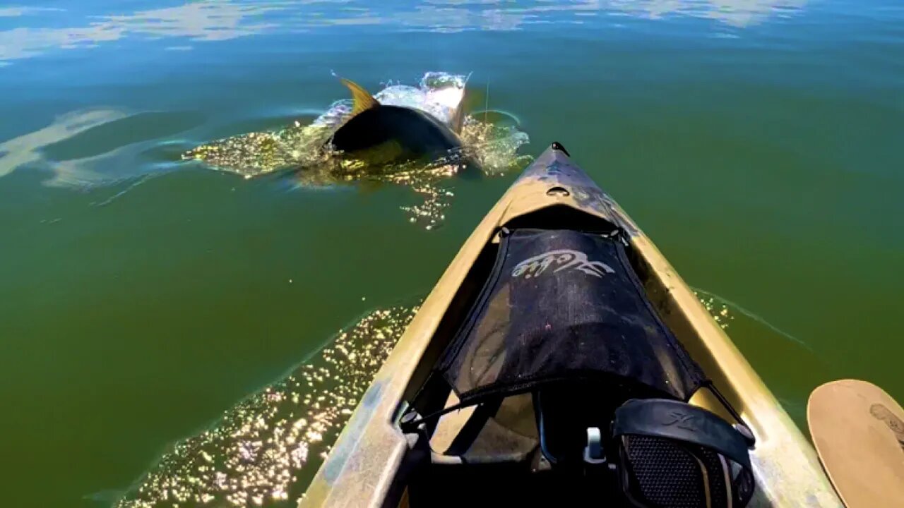 Showing My Hobie Compass Kayak Setup 🛶