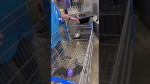 Karen Screams Inside Walmart After Man Confronted Her For Cutting Him Off In Self-Checkout Line!