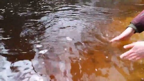 48-HOUR STEELHEAD Float Trip Catch & Cook __ Fishing for Steelhead Trout in Upper Peninsula MI % 18