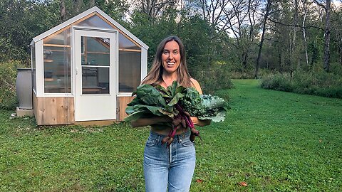 My Garden Plans to Grow More Food | Permaculture Food Forest