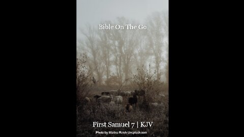 1 SAMUEL 7 | KJV