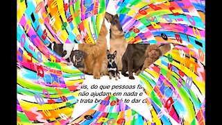 Eu prefiro amar os animais, do que pessoas falsas, um animal só te trata bem! [Frases e Poemas]