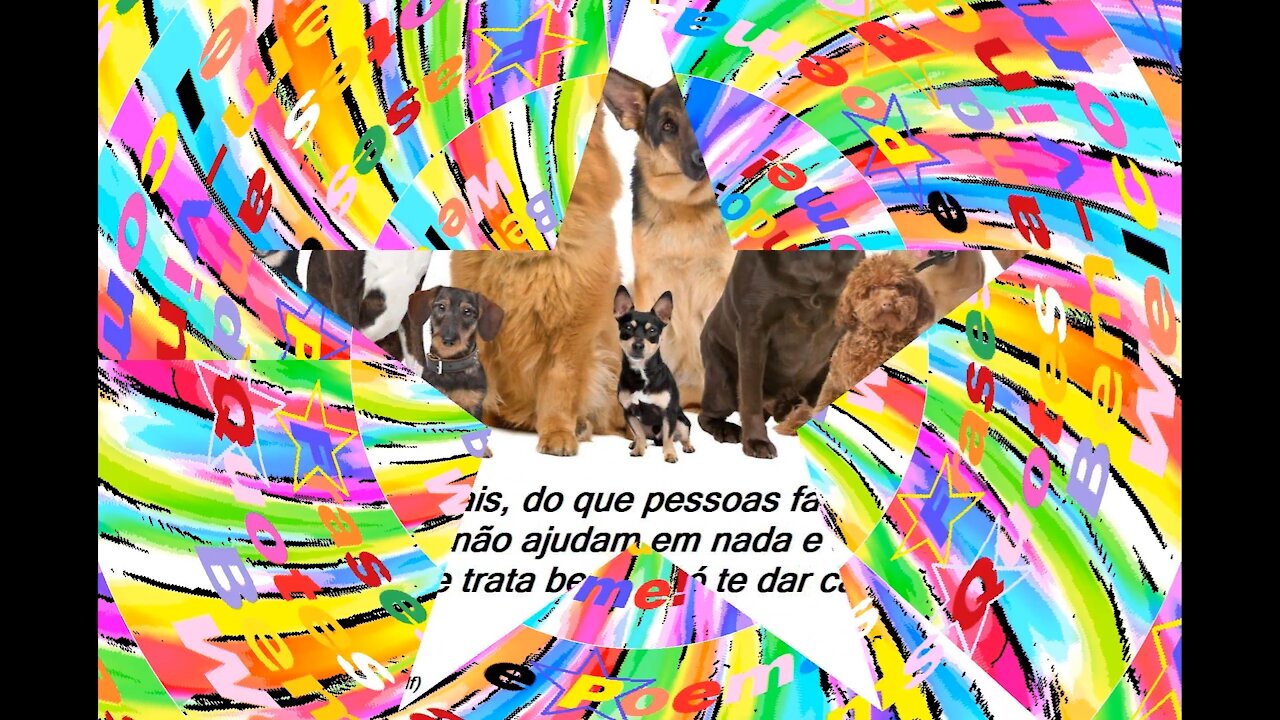 Eu prefiro amar os animais, do que pessoas falsas, um animal só te trata bem! [Frases e Poemas]