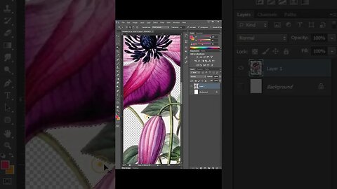 Way to Remove Complex Background in photoshop #shorts #photoshop