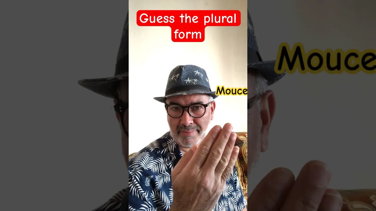 Guess the plural forms #short #shorts #english