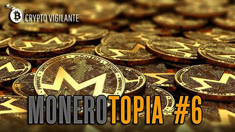 Mr. W - Monero Talk Price Report on MoneroTopia Episode #6 - March 4, 2021