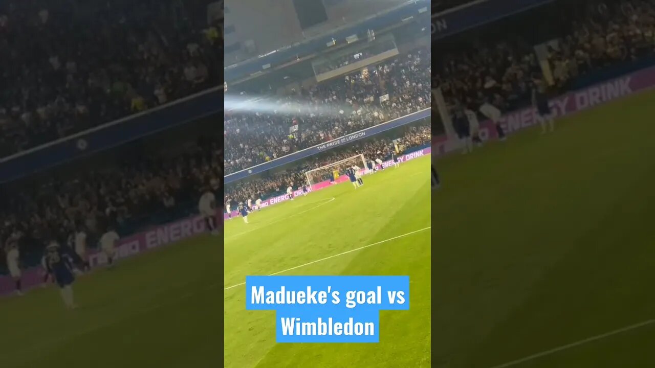 Madueke's goal vs Wimbledon #short #chelseavswimbledon #chelsea