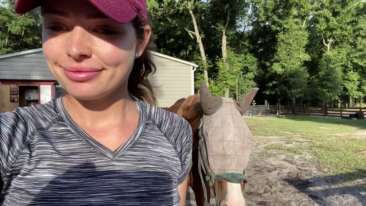 OUR HUGE FARM TOUR!! Life Owning A Horse FARM.