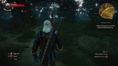 The Witcher 3: Wild Hunt_10