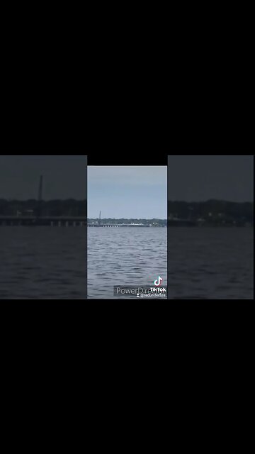 DOLPHINS 🐬 PLAYING IN PENSACOLA BAY