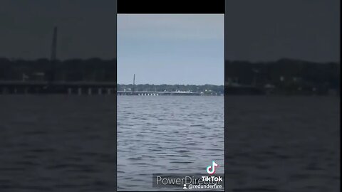 DOLPHINS 🐬 PLAYING IN PENSACOLA BAY