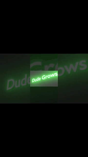 "Yo bysch, I'm foe twany."