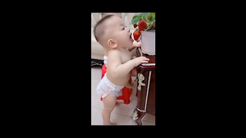 Cute baby fight angry!