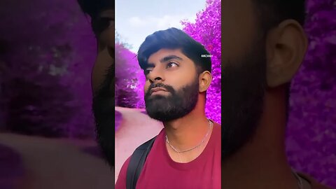 This Purple Field Is Insane!