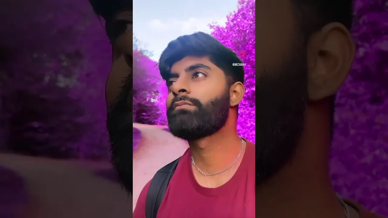 This Purple Field Is Insane!