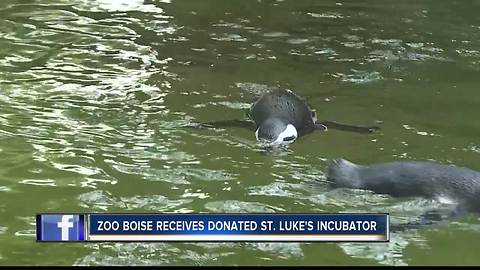 St. Luke's incubator is getting a new use at Zoo Boise