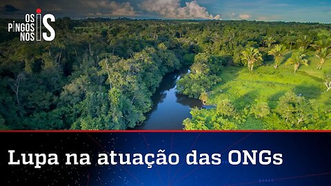 Senador consegue apoio para abrir CPI das ONGs da Amazônia