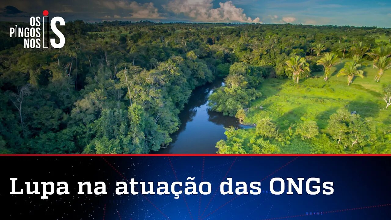Senador consegue apoio para abrir CPI das ONGs da Amazônia