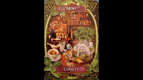 #28 Witches' Kitchen Oracle Cards Mint