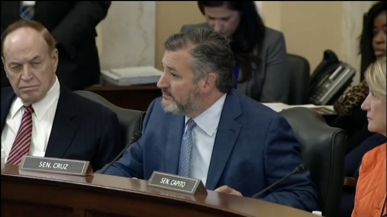 Ted Cruz: Dems Have Made The Decision That Voter Fraud Is In Their Interest