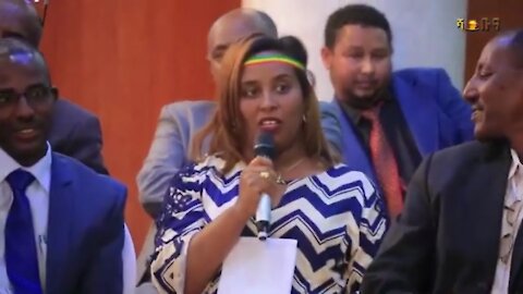 ህገ መንግስቱ የህወሓት እና የኦነግ ነው - ለትውስታ የቀረበ ክርክር