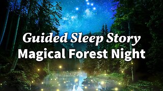 A Rainy Night in the Forest: Cozy Sleep Story with Rain & Nature Sounds