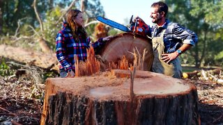 Big Tree Takedown with a Small Chainsaw - Free Range Homestead Ep 9