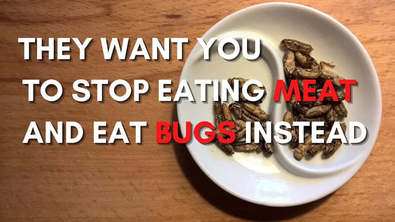 They want you to stop eating meat and eat bugs instead