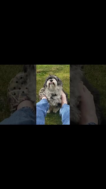 My Best Friend #BaxSeif