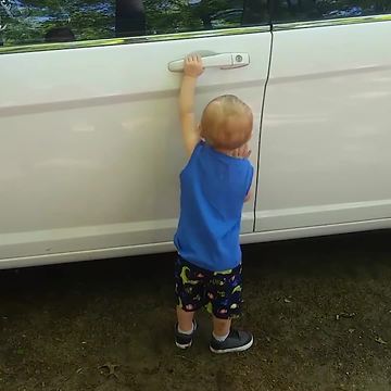 Toddler Boy Got Caught Trying to Steal a Car