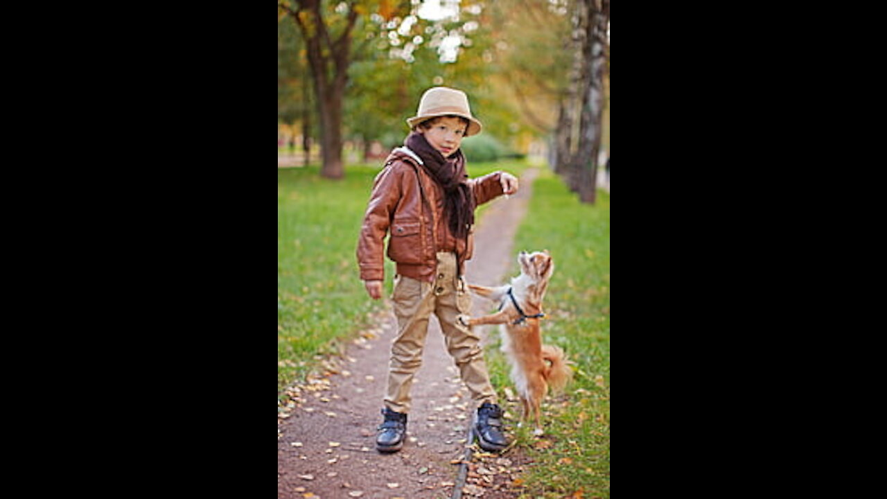 Our cute Pet :Boy Playing With His Dog