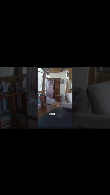 Bear breaks into house #bear #hunting