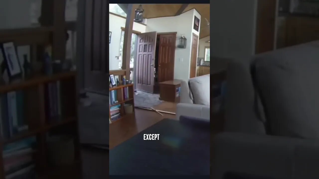 Bear breaks into house #bear #hunting