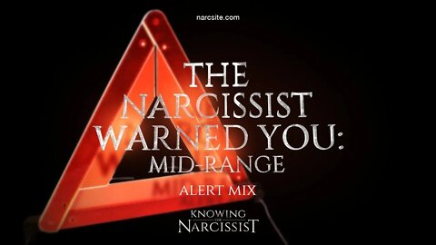 The Narcissist Warned You : The Mid Range Narcissist