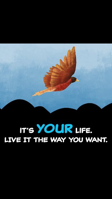 It's Your Life [GMG Originals]