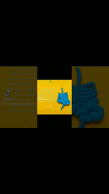 A importância da Microbiota 3