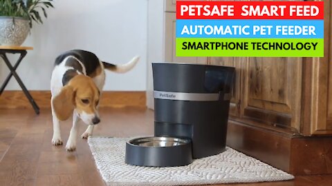 Automatic Pet Feeder