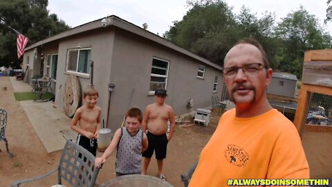 Fiasco at the Waddlin Farm