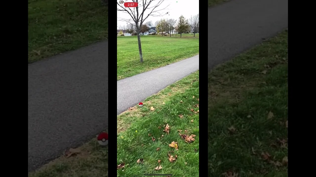 Catching Shuppet after Halloween 👻🎃